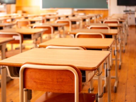 Por que é mais fácil inovar na franja do curso? Marina Feferbaum, Revista Ensino Superior